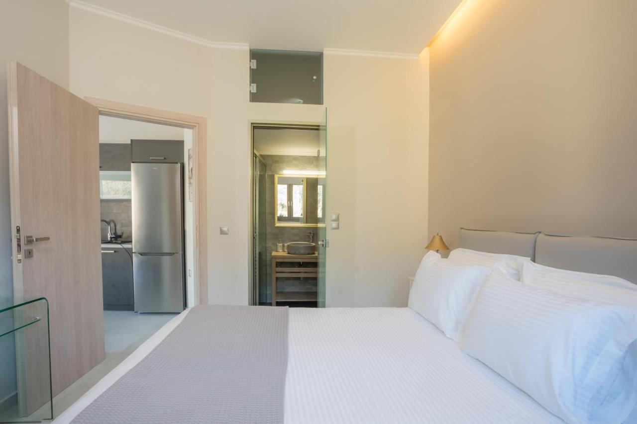 Apollonian Luxury Apartments Vasiliki  Bagian luar foto