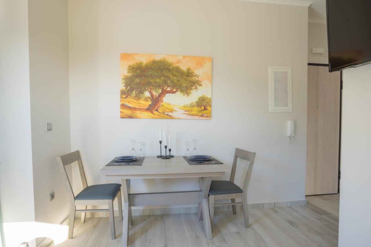 Apollonian Luxury Apartments Vasiliki  Bagian luar foto
