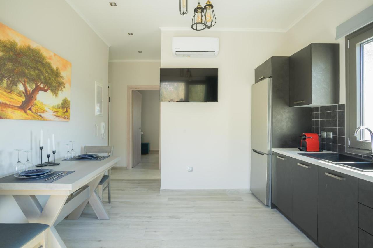 Apollonian Luxury Apartments Vasiliki  Bagian luar foto