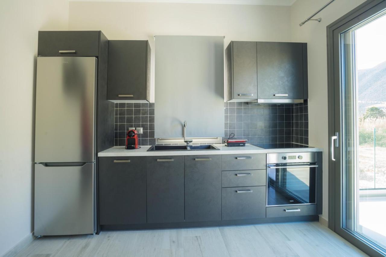 Apollonian Luxury Apartments Vasiliki  Bagian luar foto